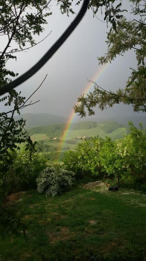 Agriturismo Il Colore Del Grano San Vittore  Εξωτερικό φωτογραφία
