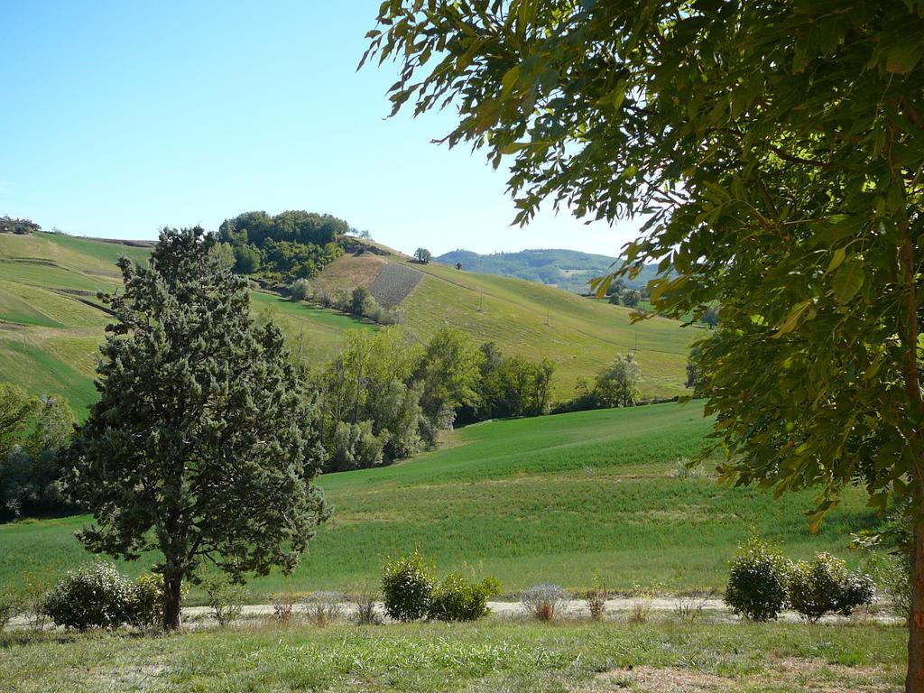 Agriturismo Il Colore Del Grano San Vittore  Εξωτερικό φωτογραφία